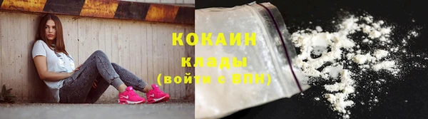 винт Пересвет