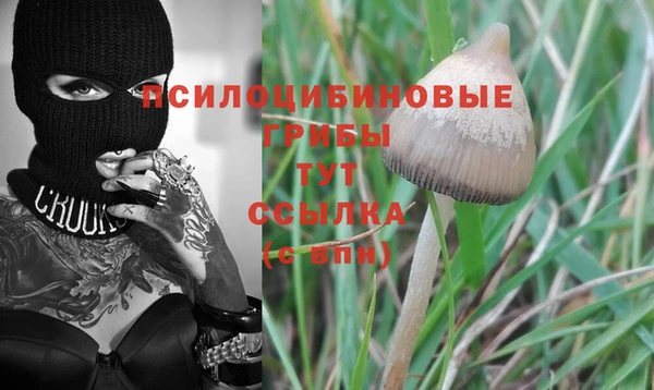 первитин Покровск