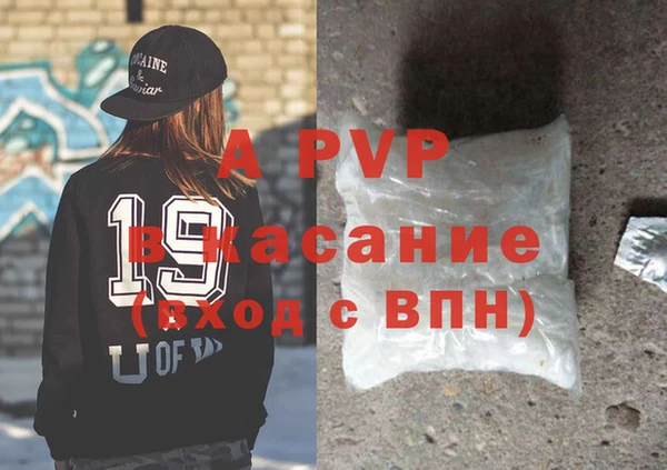 винт Пересвет