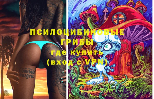 мдпв Пестово